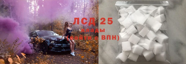 СК Алексин