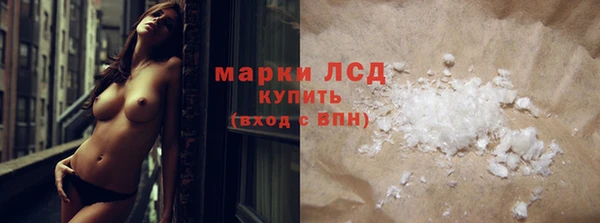 СК Алексин