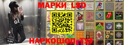 apvp Бердск