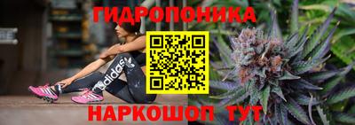 apvp Бердск