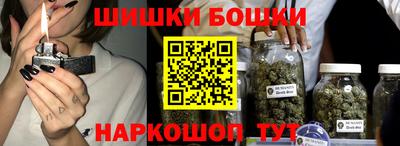 apvp Бердск