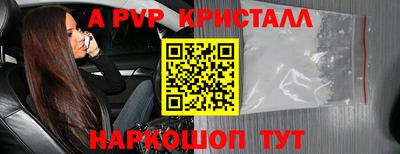 apvp Бердск