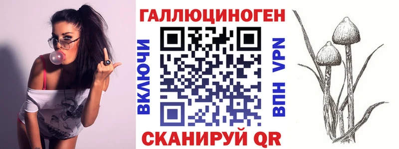 Галлюциногенные грибы мицелий  магазин    Морозовск 