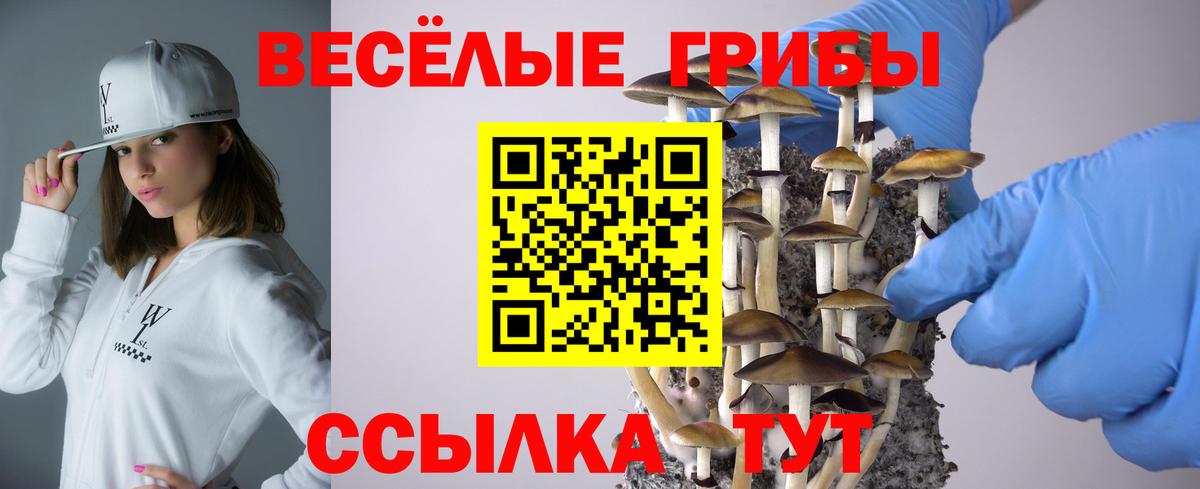 Псилоцибиновые грибы MAGIC MUSHROOMS Морозовск